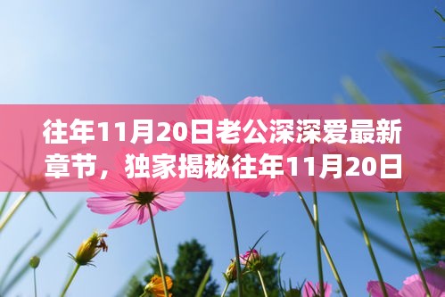 往年11月20日老公深情與高科技融合，全新智能伴侶揭秘，顛覆想象！