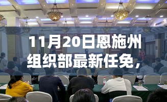 恩施州組織部最新任免動態(tài)解析及用戶群體分析，特性、體驗與競品對比報告