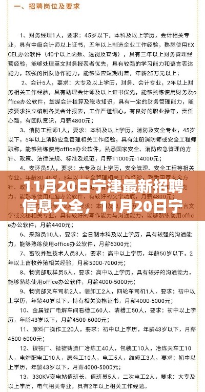 11月20日寧津最新招聘信息匯總，全面解讀招聘平臺(tái)特性與體驗(yàn)