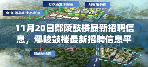 11月20日鄢陵鼓樓最新招聘信息及平臺深度評測，特性、體驗與用戶洞察