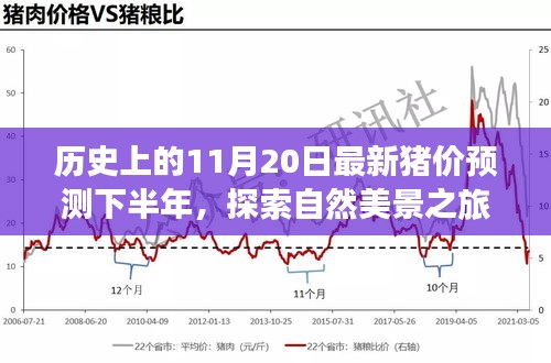 歷史上的11月20日豬價(jià)預(yù)測與心靈寧靜尋覓之旅，自然美景探索