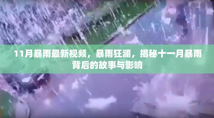 揭秘十一月暴雨背后的故事與影響，暴雨狂瀾最新視頻報(bào)道