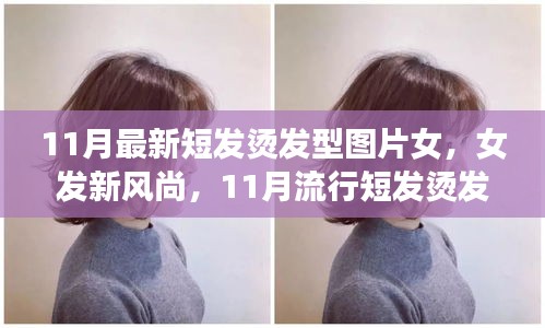 11月流行女發(fā)短燙發(fā)，全新風尚與全攻略圖片欣賞