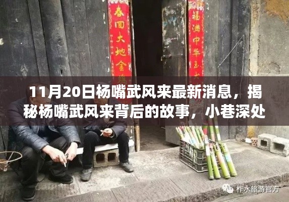 揭秘楊嘴武風來背后的故事，小巷深處的獨特風味（最新消息）