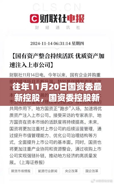 揭秘，國資委控股新紀(jì)元背后的重磅事件與影響，歷年11月20日的回顧與展望