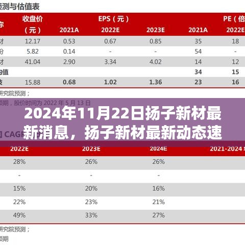 2024年11月22日揚(yáng)子新材最新消息，揚(yáng)子新材最新動(dòng)態(tài)速遞，2024年11月22日的三大看點(diǎn)