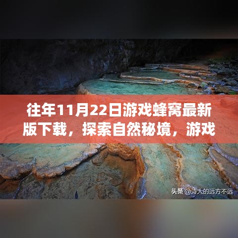 游戲蜂窩帶你探索自然秘境，最新下載，心靈平靜之旅