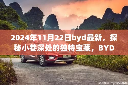 探秘小巷深處的獨(dú)特寶藏，BYD最新隱藏版特色小店揭秘（2024年11月22日）