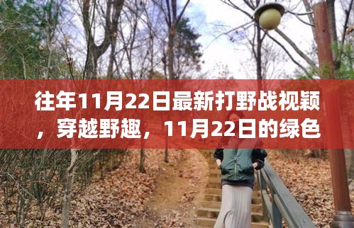 往年11月22日最新打野戰(zhàn)視穎，穿越野趣，11月22日的綠色冒險之旅，尋找內(nèi)心的寧靜與平和