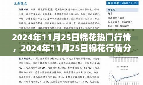 棉花行情深度解析，從入門到精通——2024年11月25日棉花行情指南