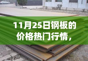 11月25日鋼板價格行情深度解析，市場波動與多方觀點透視