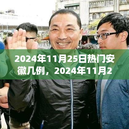 2024年11月25日安徽疫情最新熱點解讀，病例數(shù)量及防控措施