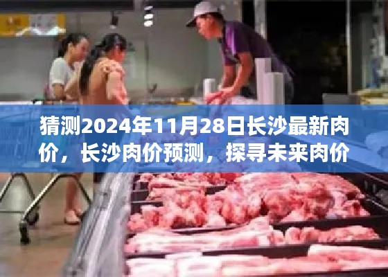 探尋長沙未來肉價走勢，預測長沙肉價至2024年11月28日最新趨勢分析