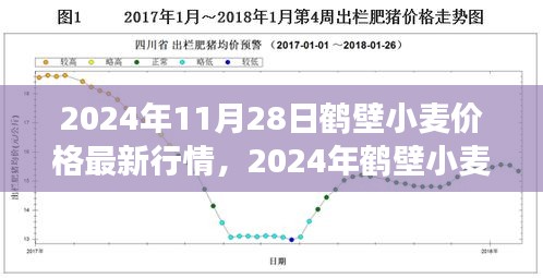 2024年鶴壁小麥價格最新行情及市場走勢分析，影響因素探討