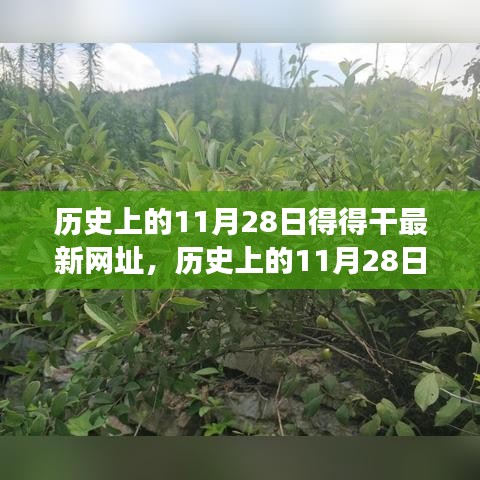 歷史上的11月28日，追尋自然美景之旅，探索內(nèi)心寧?kù)o港灣的新網(wǎng)址揭秘