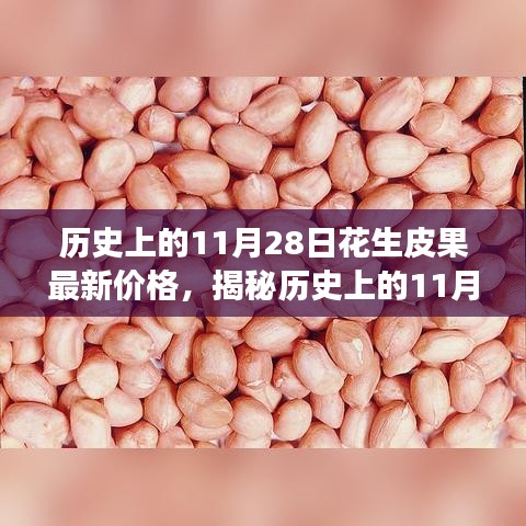 全方位解析，歷史上的11月28日花生皮果最新價(jià)格獲取與解讀步驟指南