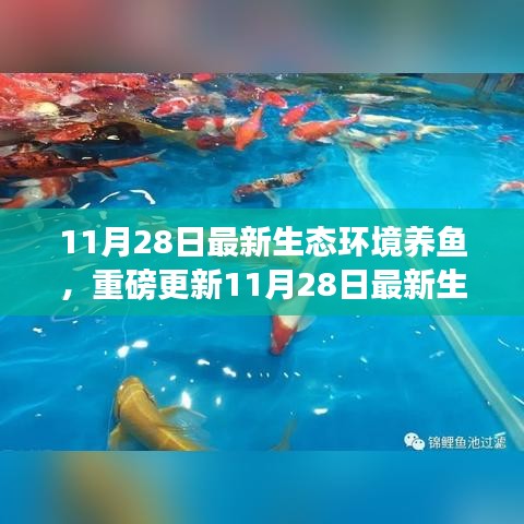 揭秘最新生態(tài)環(huán)境養(yǎng)魚(yú)秘籍，打造生態(tài)魚(yú)池新境界！