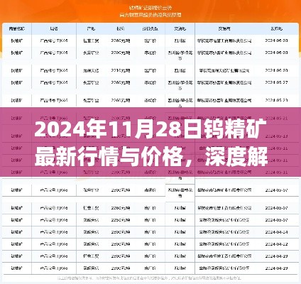 深度解析，2024年11月28日鎢精礦最新行情與價格展望