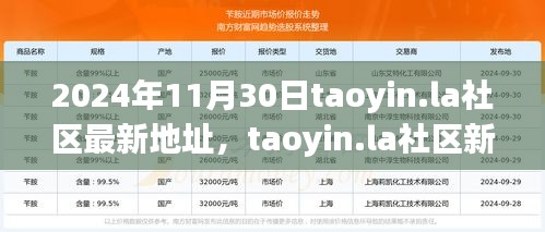 2024年11月30日taoyin.la社區(qū)新址展望，機(jī)遇與挑戰(zhàn)并存