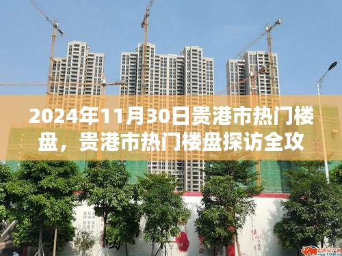 貴港市熱門樓盤探訪全攻略，購房指南（2024年11月30日）