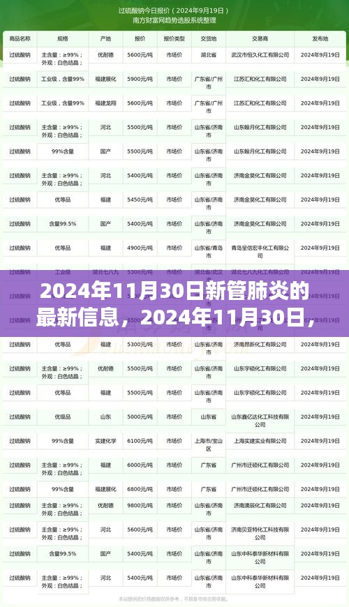 2024年11月30日新管肺炎最新動態(tài)，揭示最新篇章