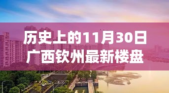 廣西欽州樓盤價格變遷揭秘，歷史價格回顧與最新樓盤查詢指南（初學者至進階用戶必備）