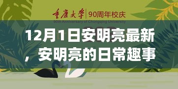 安明亮日常趣事，溫馨時(shí)光回顧，12月1日的精彩瞬間