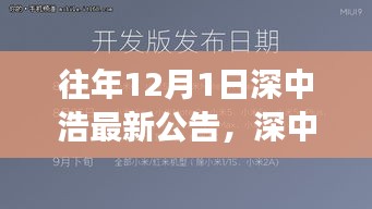 深中浩歷年公告深度解析，背景、事件與領(lǐng)域地位回顧之最新公告解讀