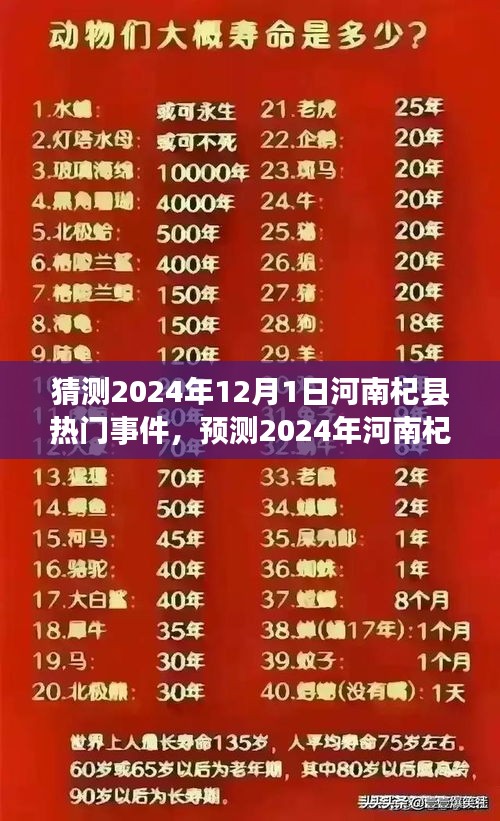 河南杞縣熱門事件預(yù)測，多方觀點下的探討與展望（2024年12月1日）