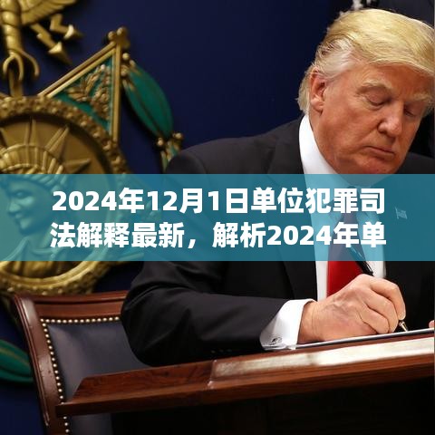 深度解析，2024年單位犯罪司法解釋最新動(dòng)態(tài)及三大要點(diǎn)探討