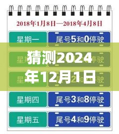 上海未來限行猜想，高架暢想曲與暖心故事，展望2024年12月的新規(guī)定