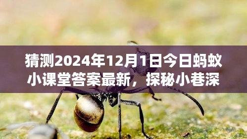 探秘螞蟻小課堂答案背后的神秘小店，2024年12月1日小巷深處的獨特風(fēng)味揭曉