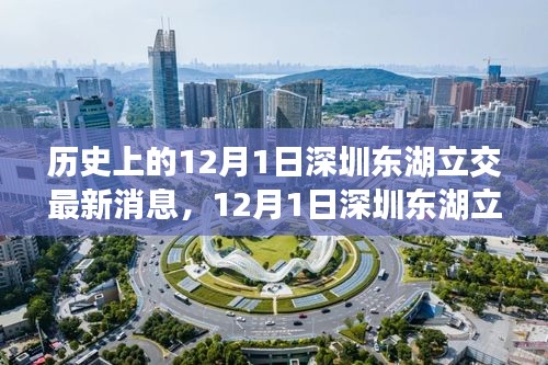 深圳東湖立交新進(jìn)展，自然美景的心靈之旅啟程日紀(jì)念報道