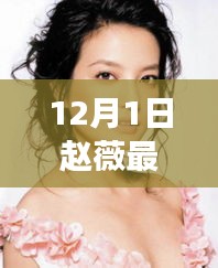 趙薇12月1日最新動態(tài)，溫馨日常與友情陪伴的故事