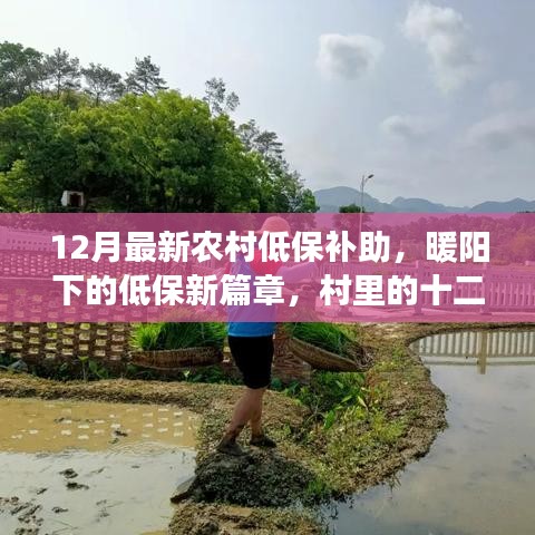 農(nóng)村低保補助新篇章，暖陽下的十二月溫情紀事