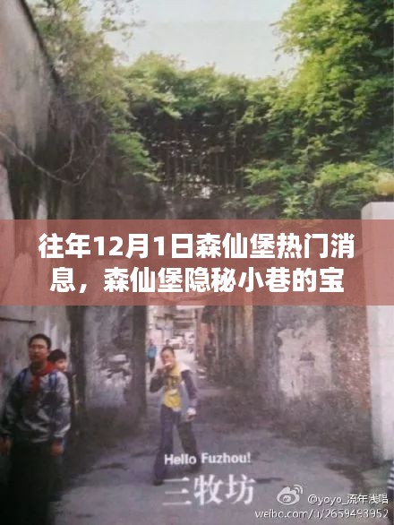 揭秘森仙堡隱秘小巷寶藏，十二月一日獨家新聞與特色小店的非凡魅力