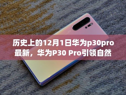 華為P30 Pro引領(lǐng)自然探索之旅，一場(chǎng)歷史與科技的奇妙旅程（最新資訊）