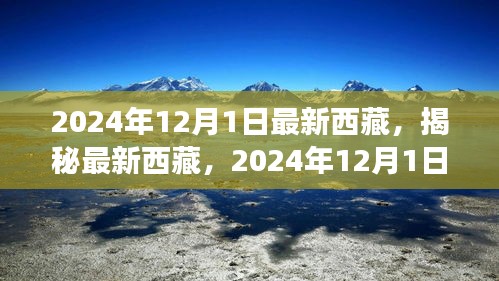 揭秘最新西藏，2024年西藏之旅的精彩瞬間（獨家報道）