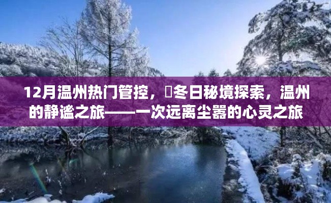 溫州冬季秘境探索，靜謐之旅的心靈之旅，12月熱門(mén)管控下的冬日秘境體驗(yàn)