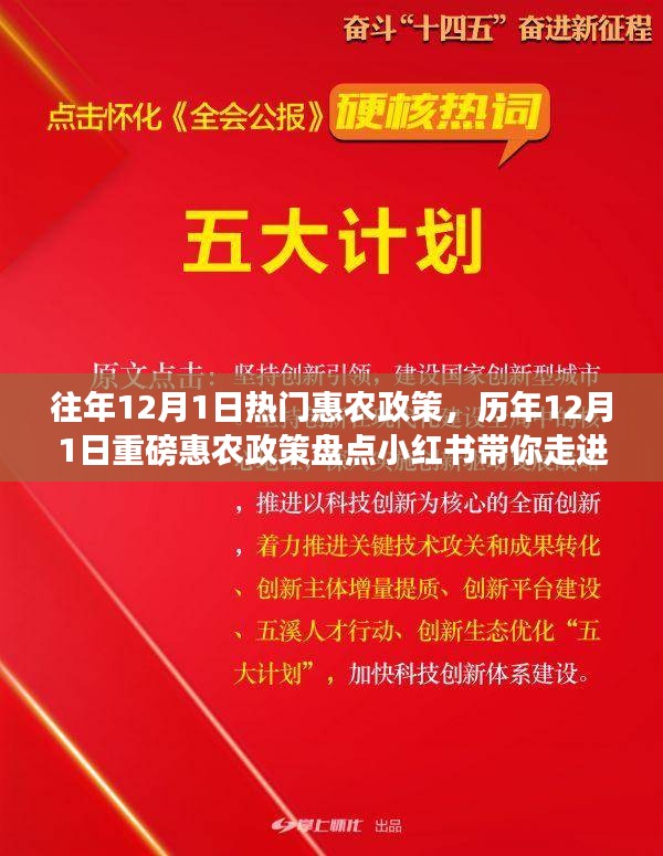 歷年12月1日惠農(nóng)政策盤點，走進紅利時代的鄉(xiāng)村福利小紅書分享會