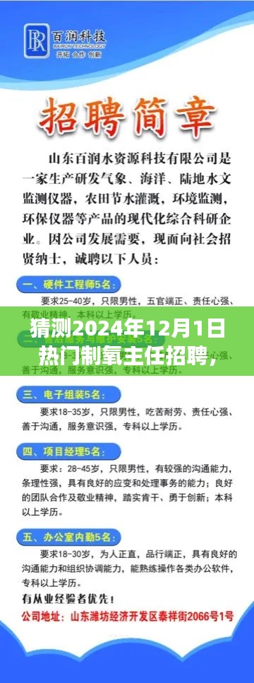 把握未來，挑戰(zhàn)熱門制氧主任崗位，2024年招聘展望與自我超越之路