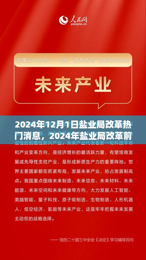 鹽業(yè)局改革前沿動(dòng)態(tài)，創(chuàng)新策略與未來展望（2024年鹽業(yè)局改革熱門消息）