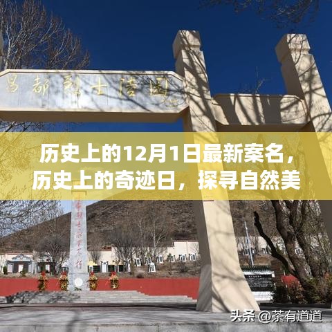 探尋奇跡日，歷史上的自然美景之旅與寧靜革命之路的探尋