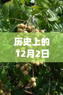 垂頭喪氣 第8頁