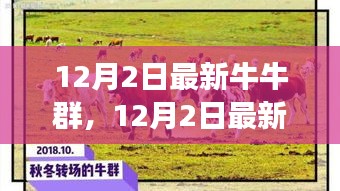 探索潮流社交新領(lǐng)地，最新牛牛群集結(jié)