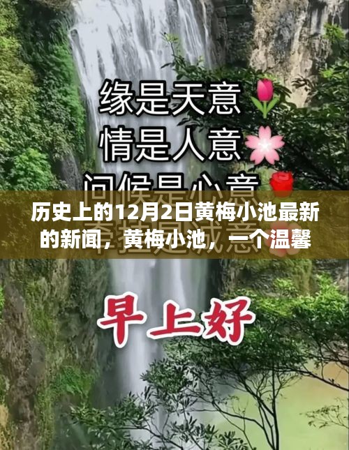 黃梅小池，溫馨日常與愛(ài)的紐帶——?dú)v史上的今天新聞回顧，12月2日的愛(ài)與陪伴故事