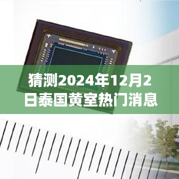 泰國黃室風(fēng)云揭秘，學(xué)習(xí)變革與夢想實現(xiàn)，2024年12月2日的輝煌展望