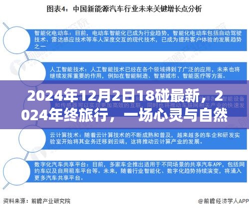 心靈與自然的碰撞，2024年終旅行記