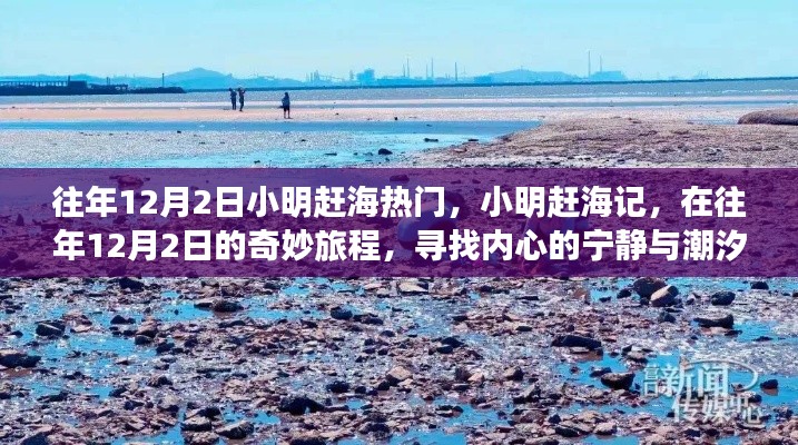 小明趕海記，尋找潮汐之聲與內(nèi)心的寧靜之旅