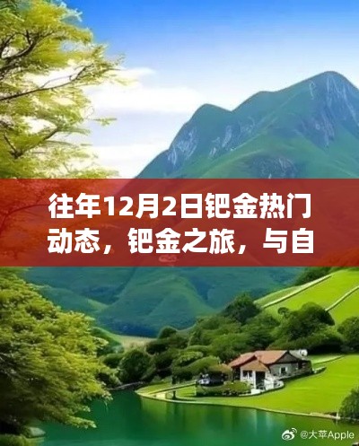 鈀金之旅，與自然美景相遇，探尋內(nèi)心寧靜的熱門動態(tài)回顧